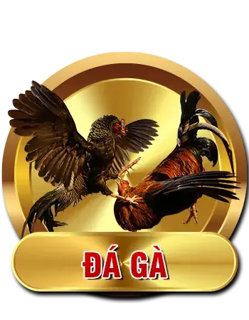 Cược đá gà HitCLub